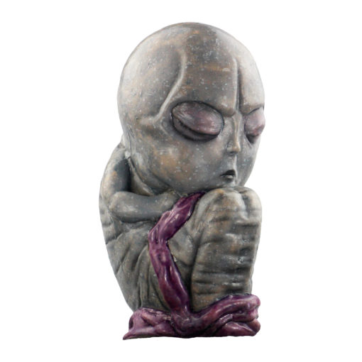 Alien Fetus - Image 6