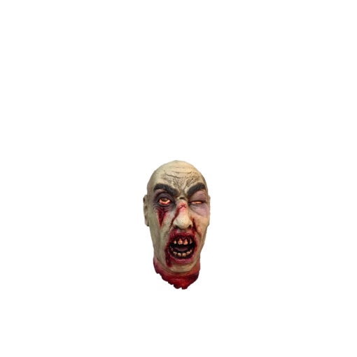 Decapitated head - Image 6