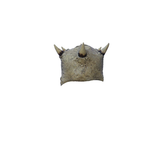 Spikes mask - Image 4