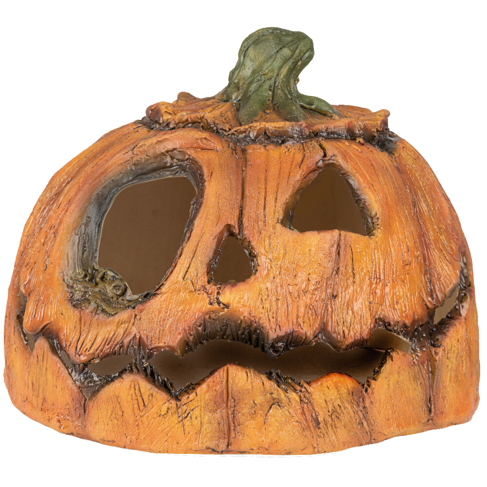 Rotten 2024 Patch pumpkin set