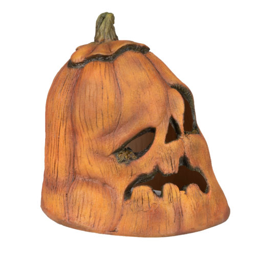 Rotten Pumpkin 1 - Image 4