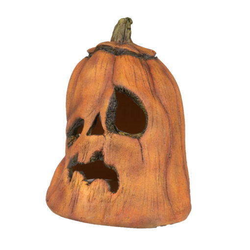 Rotten Pumpkin 1