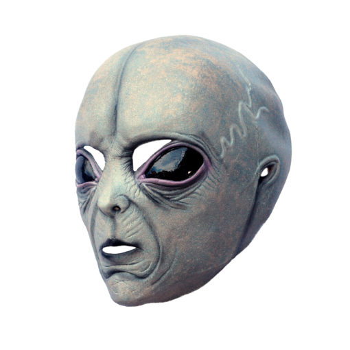 Area 51 alien costume - Image 6