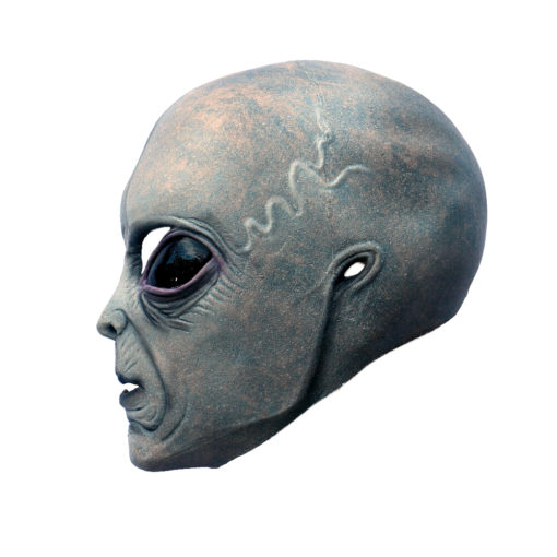 Area 51 alien costume - Image 4