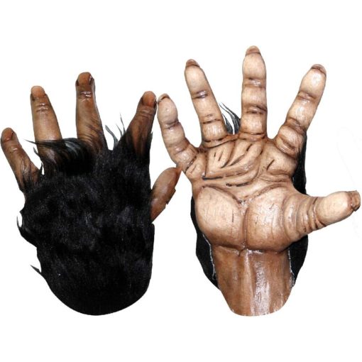 Chimp Brown Hands