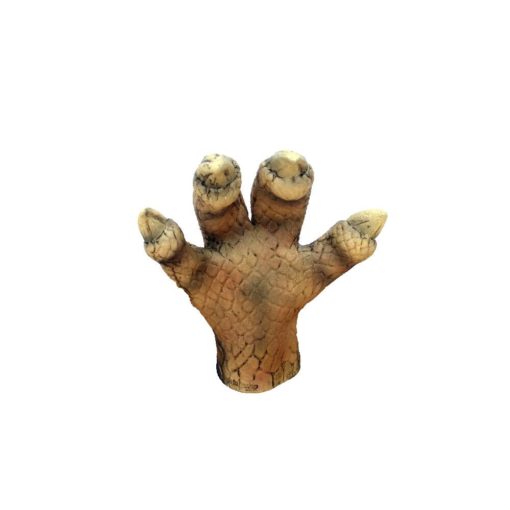 T-Rex claws - Image 11