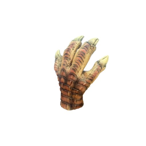 T-Rex claws - Image 10