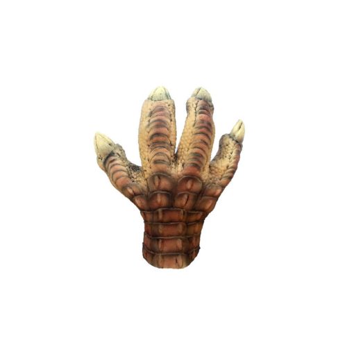 T-Rex claws - Image 7