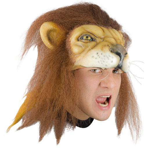 Lion helmet