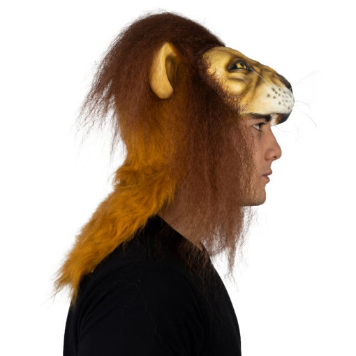 Lion helmet - Image 5