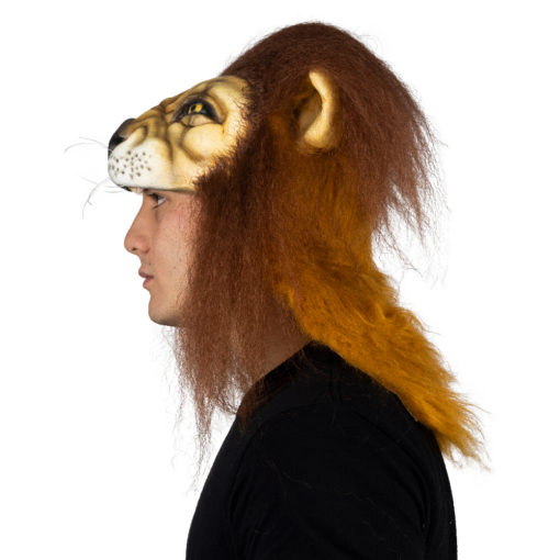 Lion helmet - Image 4