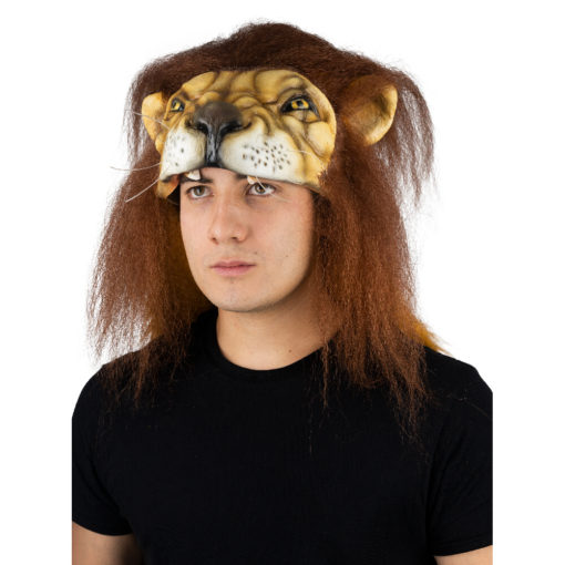 Lion helmet - Image 2